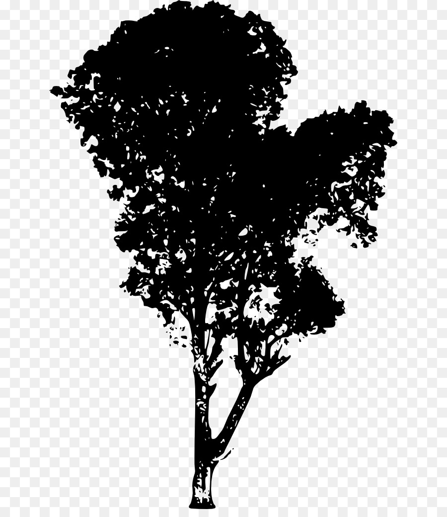 Tree Silhouette Branch Desktop Wallpaper - tree vector png download - 701*1024 - Free Transparent Tree png Download.