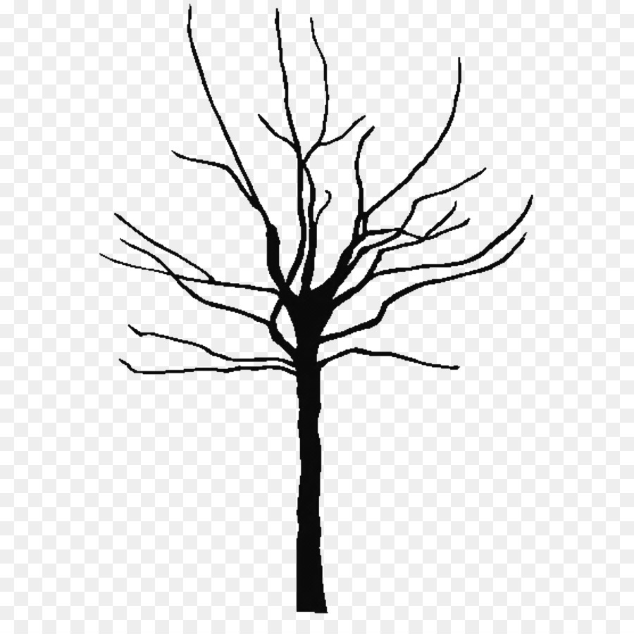 Tree Oak Black and white Clip art - Tree Outline Cliparts png download - 640*881 - Free Transparent Tree png Download.