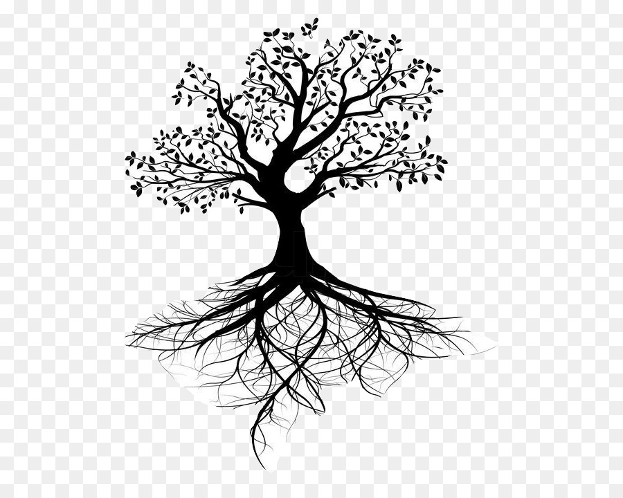Stock photography Tree of life Root - tree png download - 598*720 - Free Transparent Stock Photography png Download.