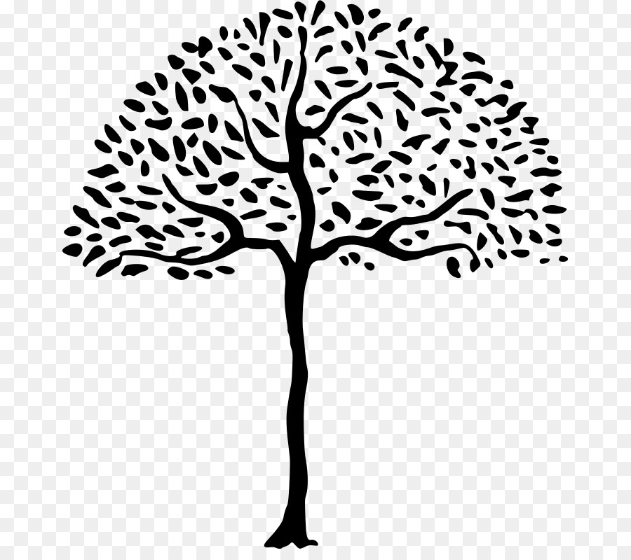 Line & Form Drawing Clip art - simple Tree png download - 723*784 - Free Transparent Line  Form png Download.
