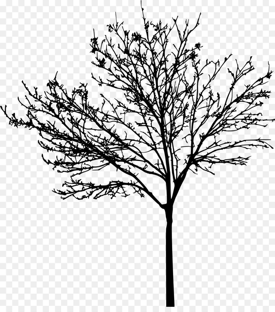 Tree Clip art - tree silhouette png download - 1795*2000 - Free Transparent Tree png Download.
