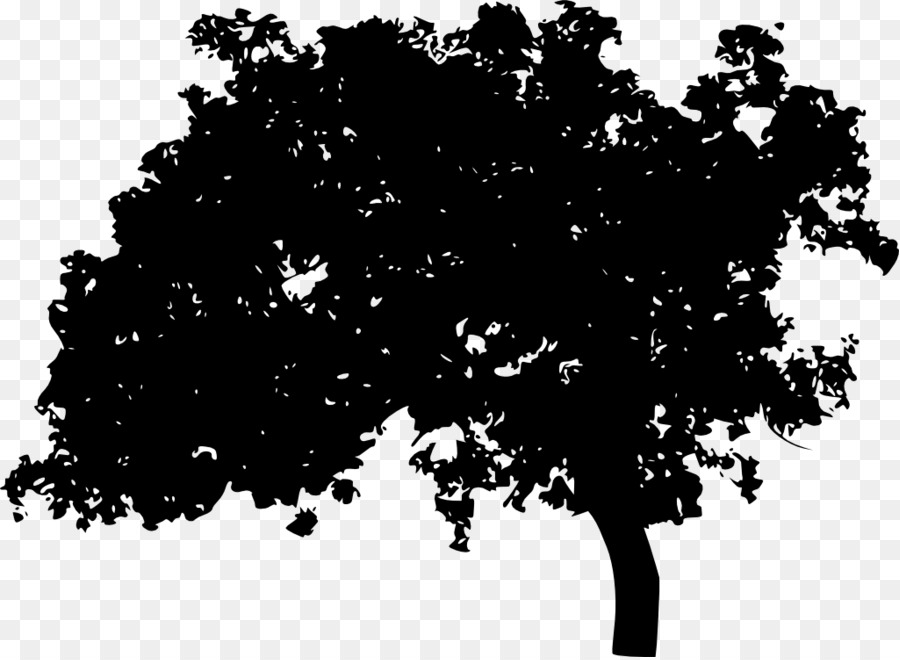 Silhouette Tree Photography Light - tree vector png download - 1024*748 - Free Transparent Silhouette png Download.