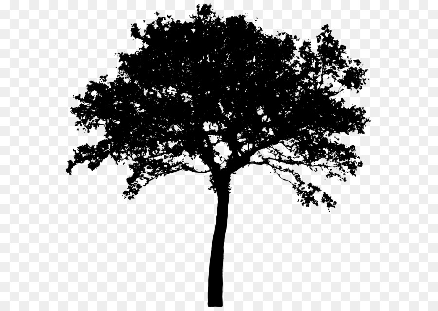 Silhouette Tree Clip art - Tree Silhouette PNG Clip Art png download - 8000*6965 - Free Transparent Tree png Download.