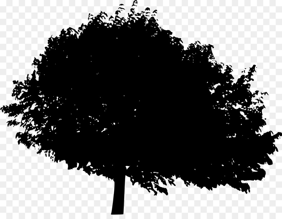 Tree Silhouette Desktop Wallpaper Woody plant - tree silhouette png download - 2000*1524 - Free Transparent Tree png Download.