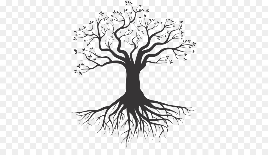 Tree Root Silhouette Drawing - arabesco png download - 501*501 - Free Transparent Tree png Download.