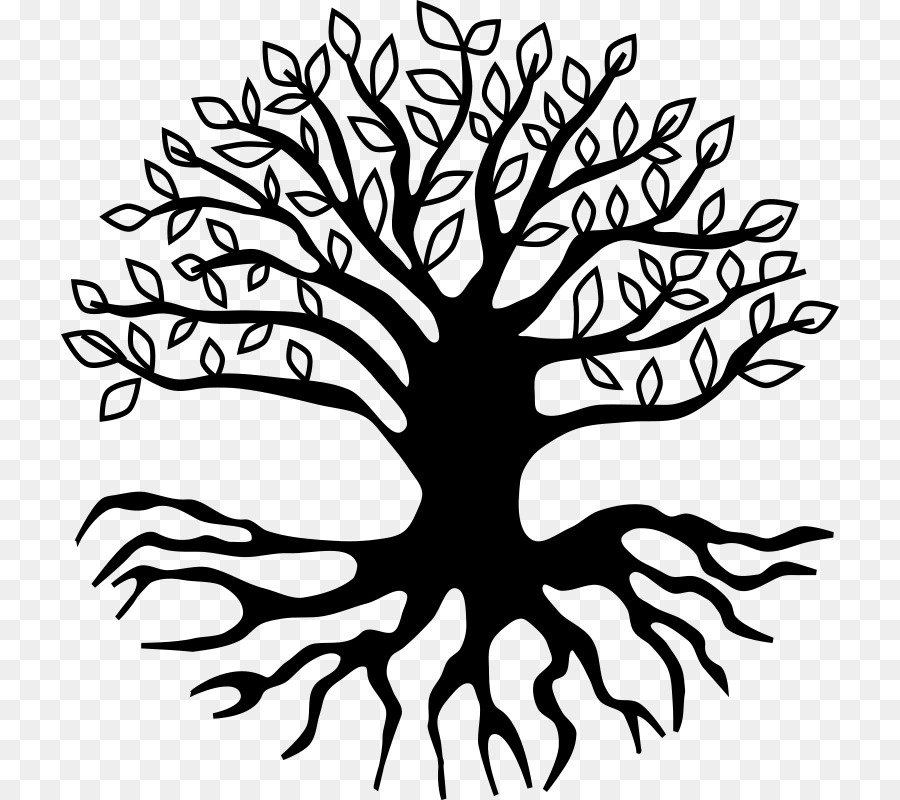 Root Tree Clip art - tree roots png download - 778*800 - Free Transparent Root png Download.