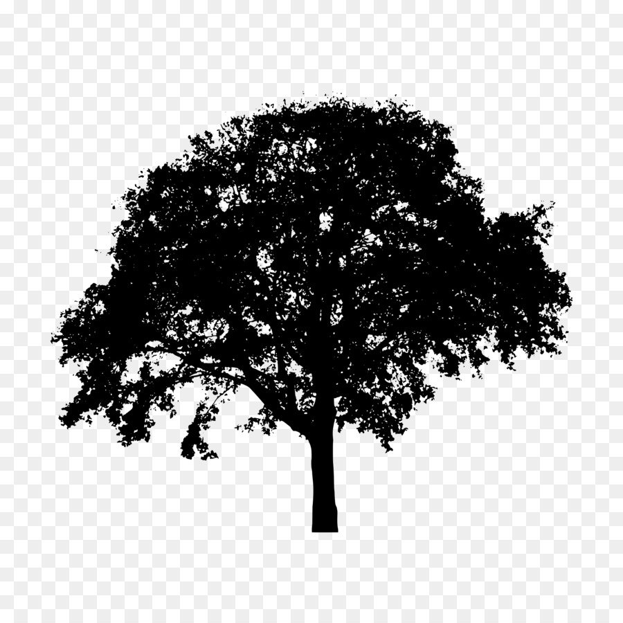 Tree Silhouette Clip art - landscape silhouette png download - 2400*2400 - Free Transparent Tree png Download.