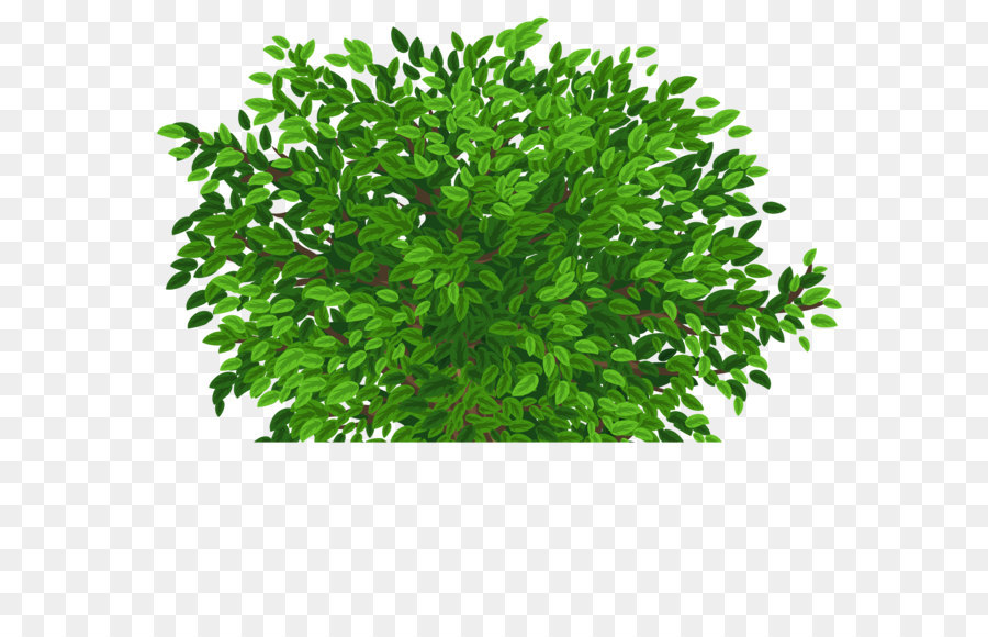 Tree Clip art - Large Green Tree Transparent PNG Clipart Picture png download - 5210*4633 - Free Transparent Tree png Download.