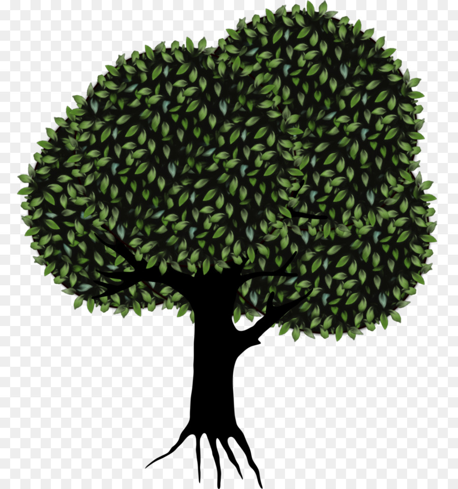 Tree Clip art - Tree Transparent Background png download - 833*960 - Free Transparent Tree png Download.