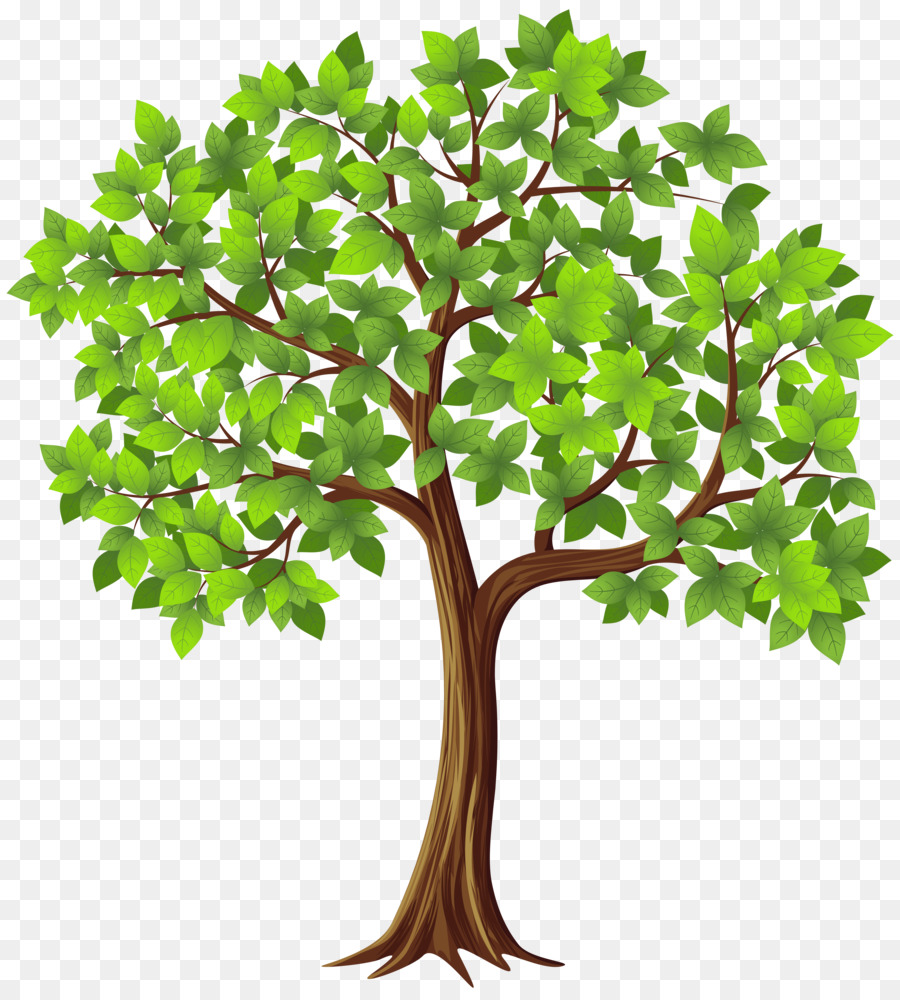 Tree Clip art - Transparent Tree Cliparts png download - 5440*6000 - Free Transparent Tree png Download.