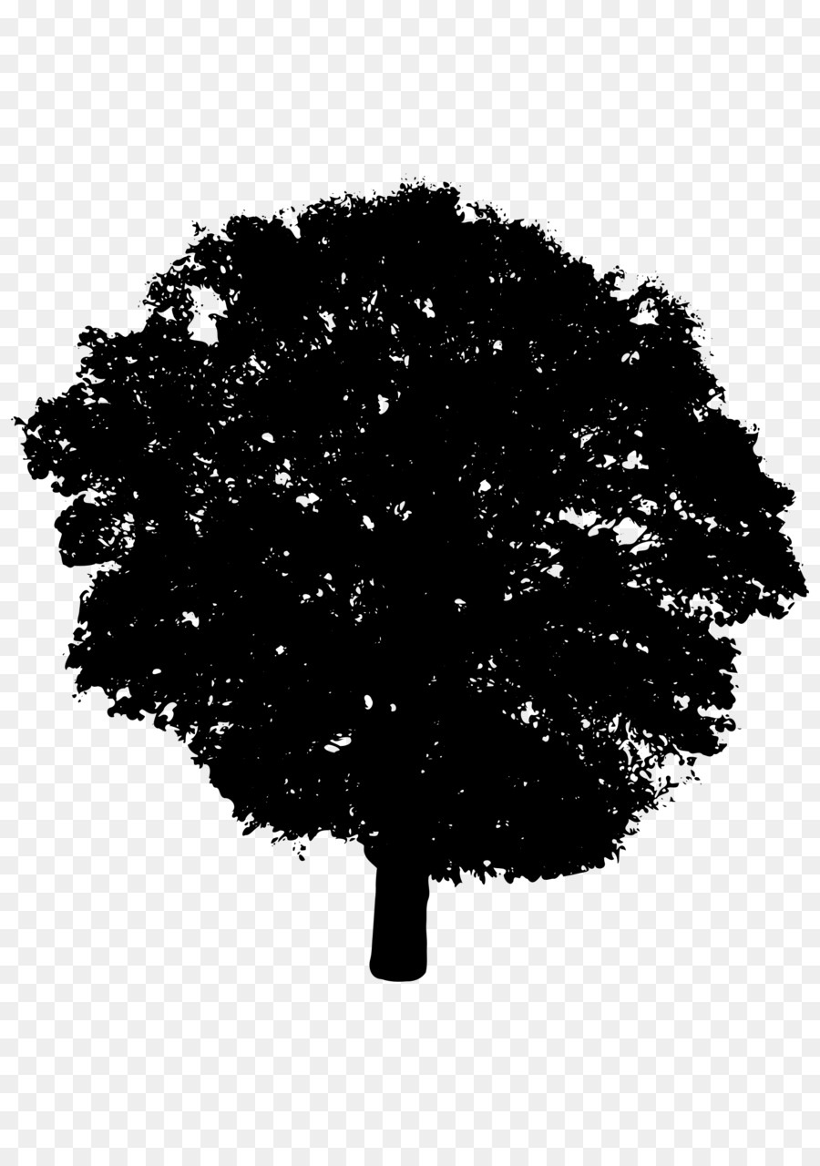 Silhouette Tree Shrub Clip art - tree vector png download - 1703*2400 - Free Transparent Silhouette png Download.