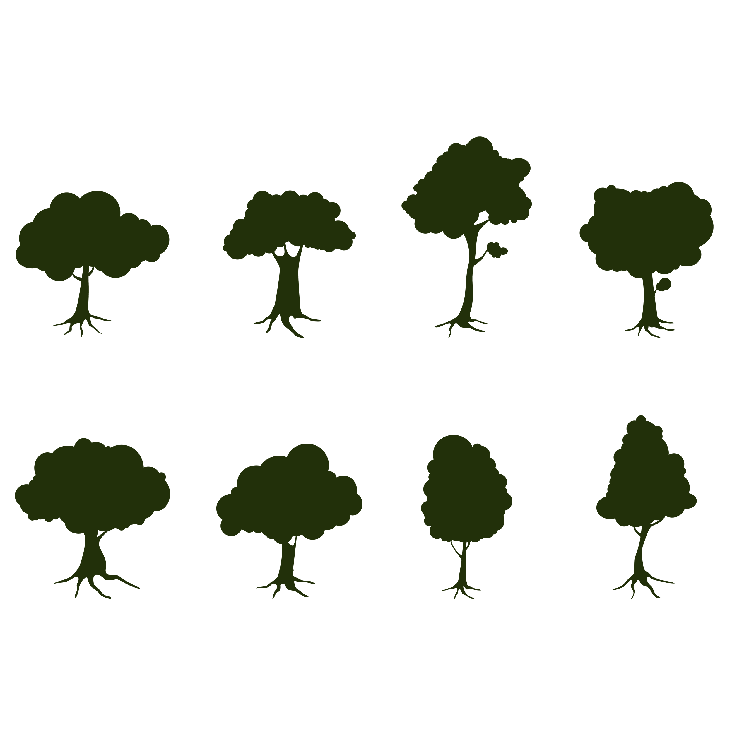 Silhouette Illustration Tree Vector Graphics Image Big Tree Png Download 2500 2500 Free Transparent Silhouette Png Download Clip Art Library