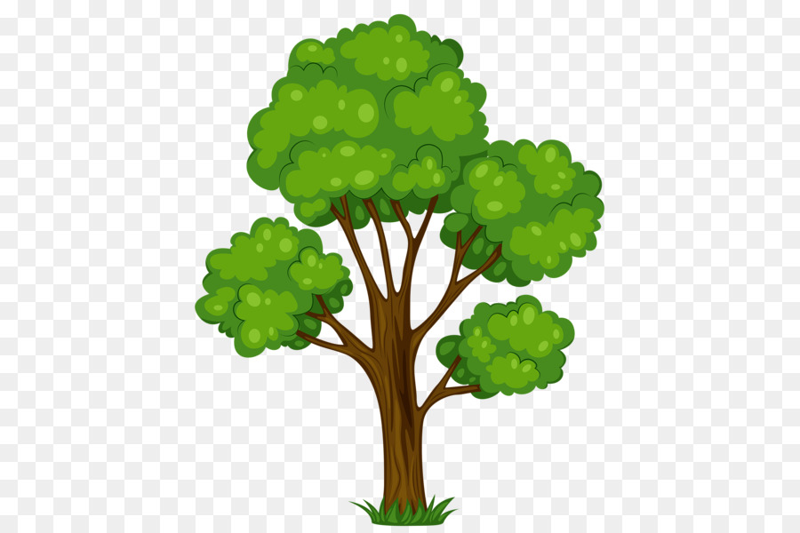 Tree Free content Clip art - Tree Vector Png png download - 488*600 - Free Transparent Tree png Download.