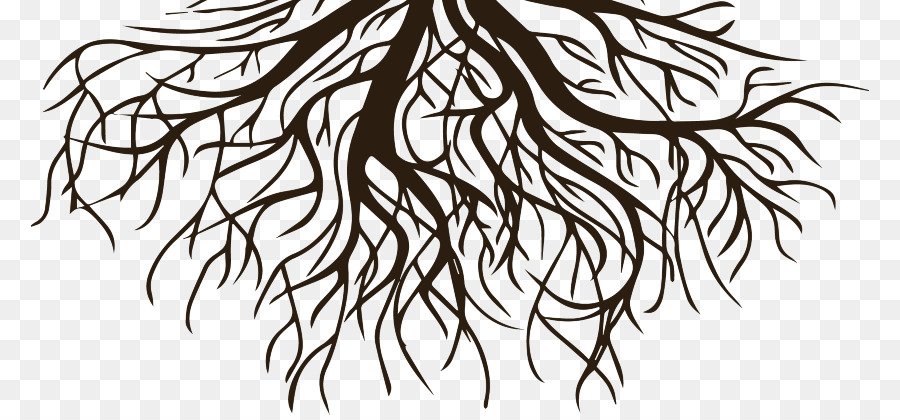 Drawing Clip art Root Vector graphics Tree - black and white roots png download - 838*415 - Free Transparent Drawing png Download.