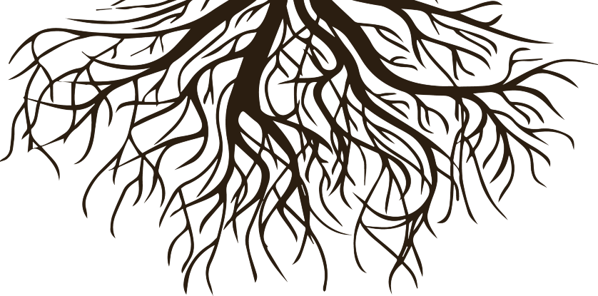 Roots Clipart Tree Png Plant Roots Black And White Free Transparent