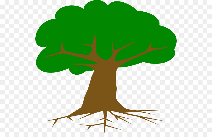 Clip art Root Vector graphics Tree Portable Network Graphics - oak hill elementary teachers png download - 600*576 - Free Transparent Root png Download.