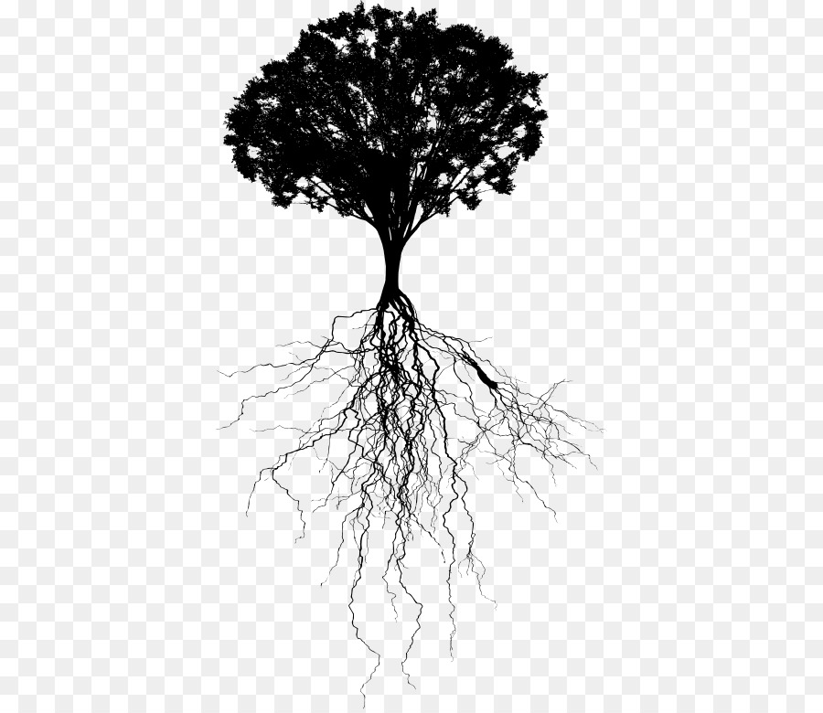 Portable Network Graphics Clip art Vector graphics Tree Root - tree of life png monochrome photography png download - 428*776 - Free Transparent Tree png Download.