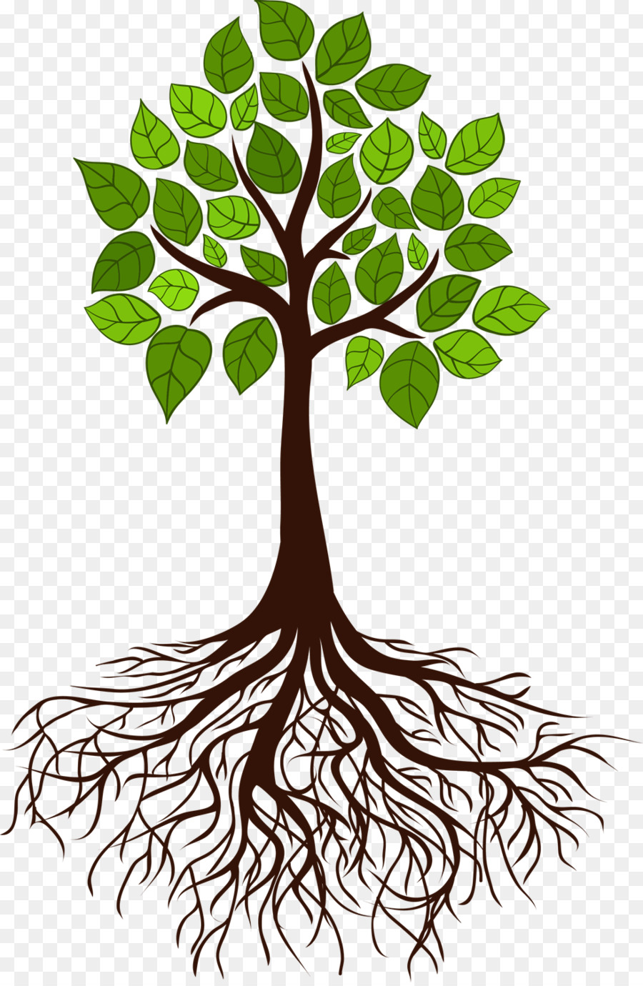 Tree Root Branch - tree roots png download - 982*1500 - Free Transparent Tree png Download.