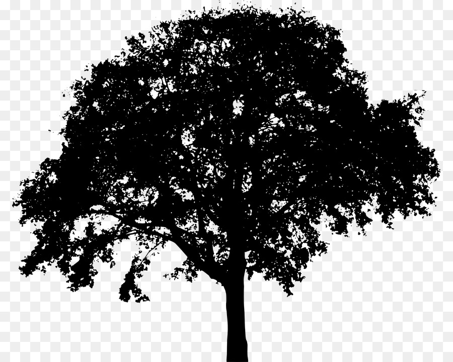 Portable Network Graphics Clip art Tree Vector graphics Image - black branch png download - 851*720 - Free Transparent Tree png Download.