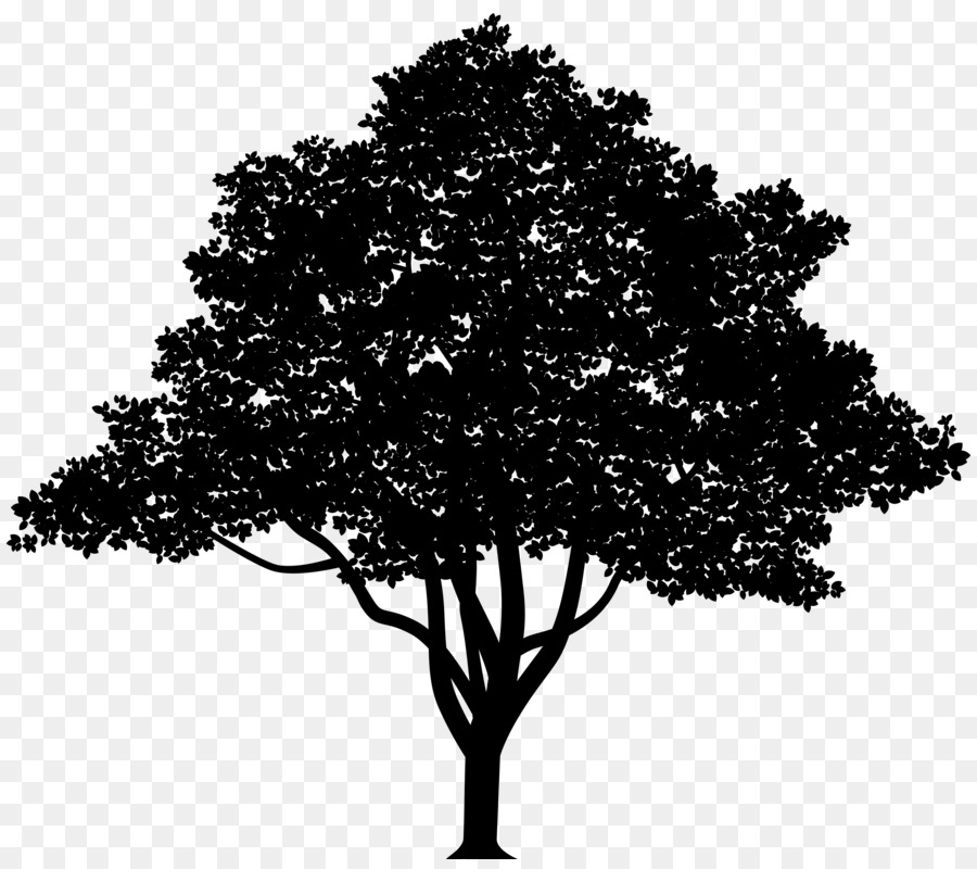 Vector graphics Tree Royalty-free Clip art Illustration -  png download - 5000*4392 - Free Transparent Tree png Download.