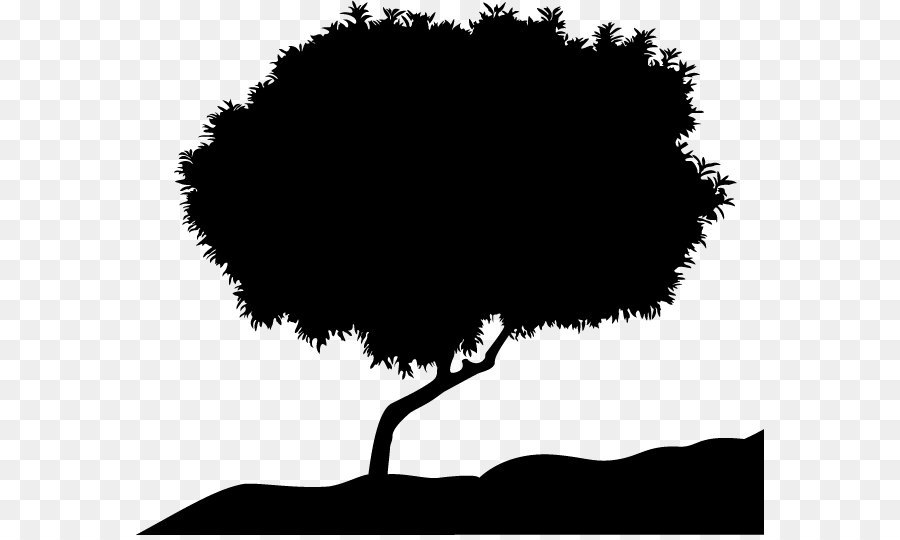 Vector Tree Silhouette png download - 628*535 - Free Transparent Singapore png Download.