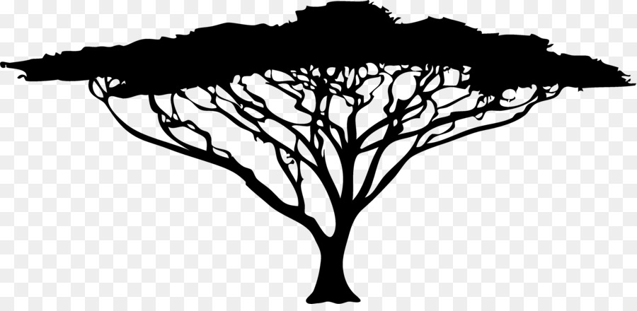 African Trees Silhouette Drawing - tree silhouette png download - 4726*2260 - Free Transparent African Trees png Download.