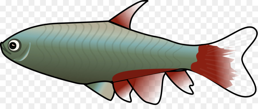 Tropical fish Clip art - fish png download - 2400*977 - Free Transparent Fish png Download.