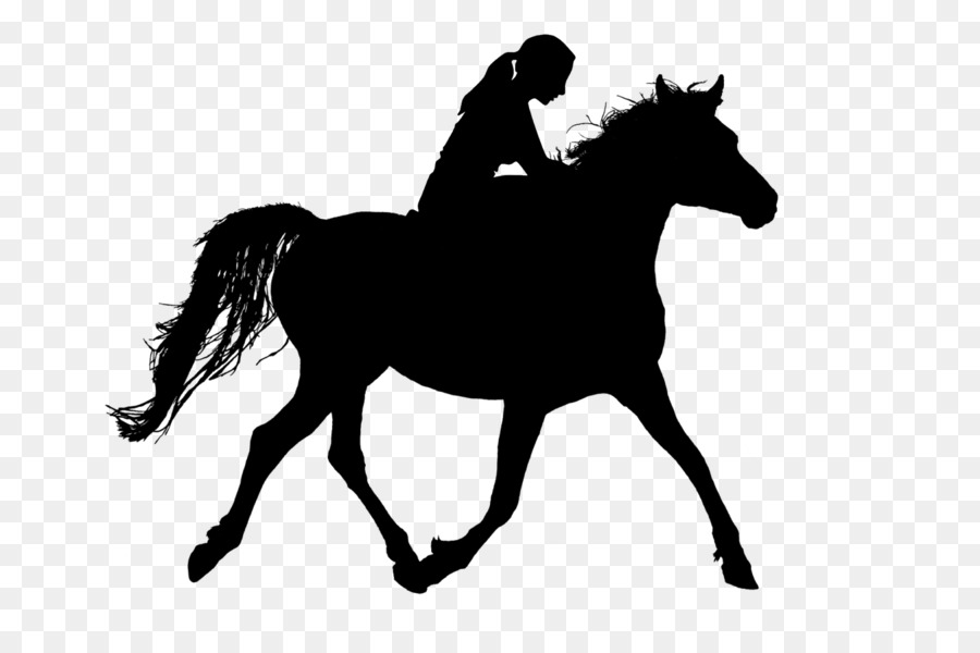 Riding horse Equestrian Trot Stallion - horse silhouette png riding pony png download - 1600*1032 - Free Transparent Horse png Download.