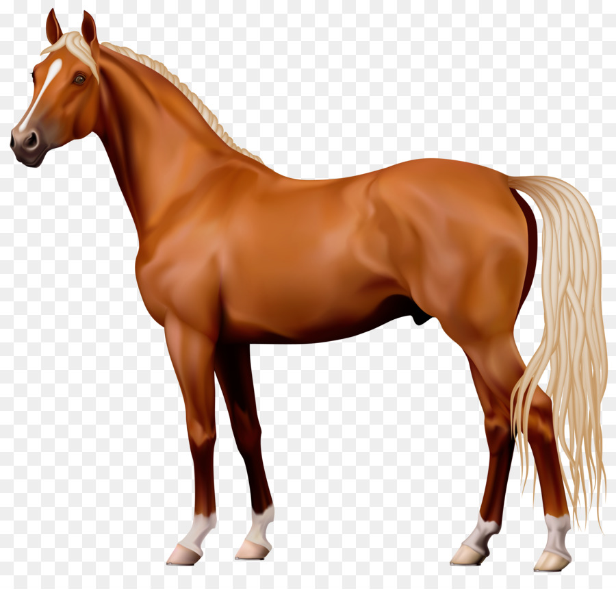 Horse Stallion Clip art - horse png download - 4120*3894 - Free Transparent Horse png Download.