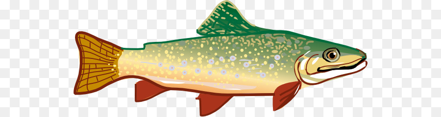 Rainbow trout Clip art - trout cliparts png download - 600*239 - Free Transparent Trout png Download.