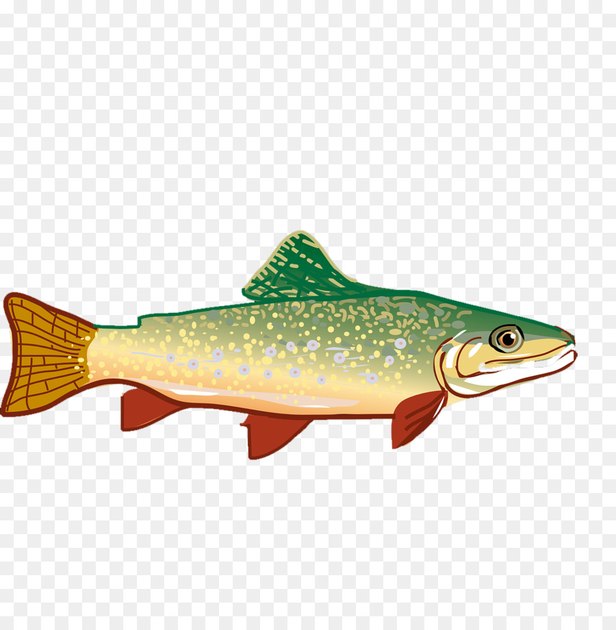 Rainbow trout Clip art - Hand-painted small fish png download - 1024*1045 - Free Transparent Trout png Download.
