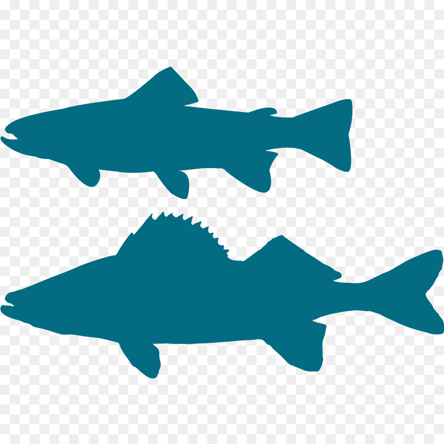 Silhouette Brook trout Clip art Shark - Silhouette png download - 900*900 - Free Transparent Silhouette png Download.