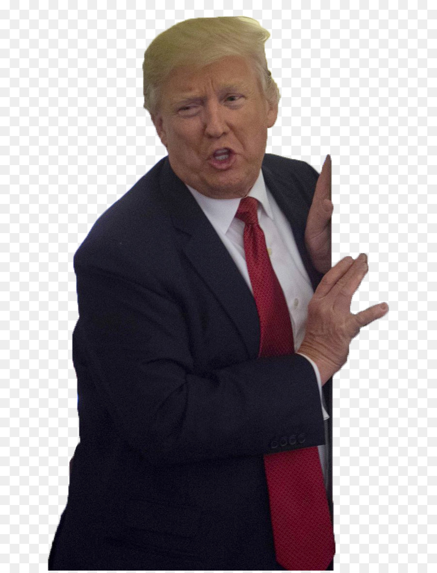 Donald Trump President of the United States Businessperson - donald trump png download - 804*1175 - Free Transparent Donald Trump png Download.