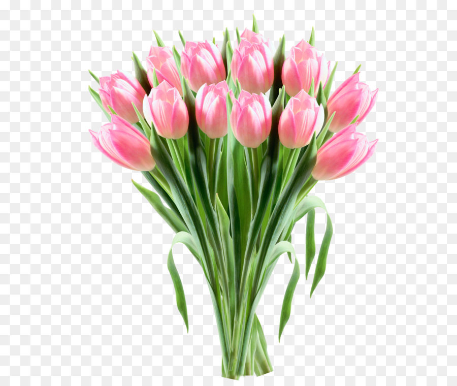 Tulip Flower Clip art - Pink Tulips Transparent PNG Clipart Picture png download - 1086*1261 - Free Transparent Tulip png Download.