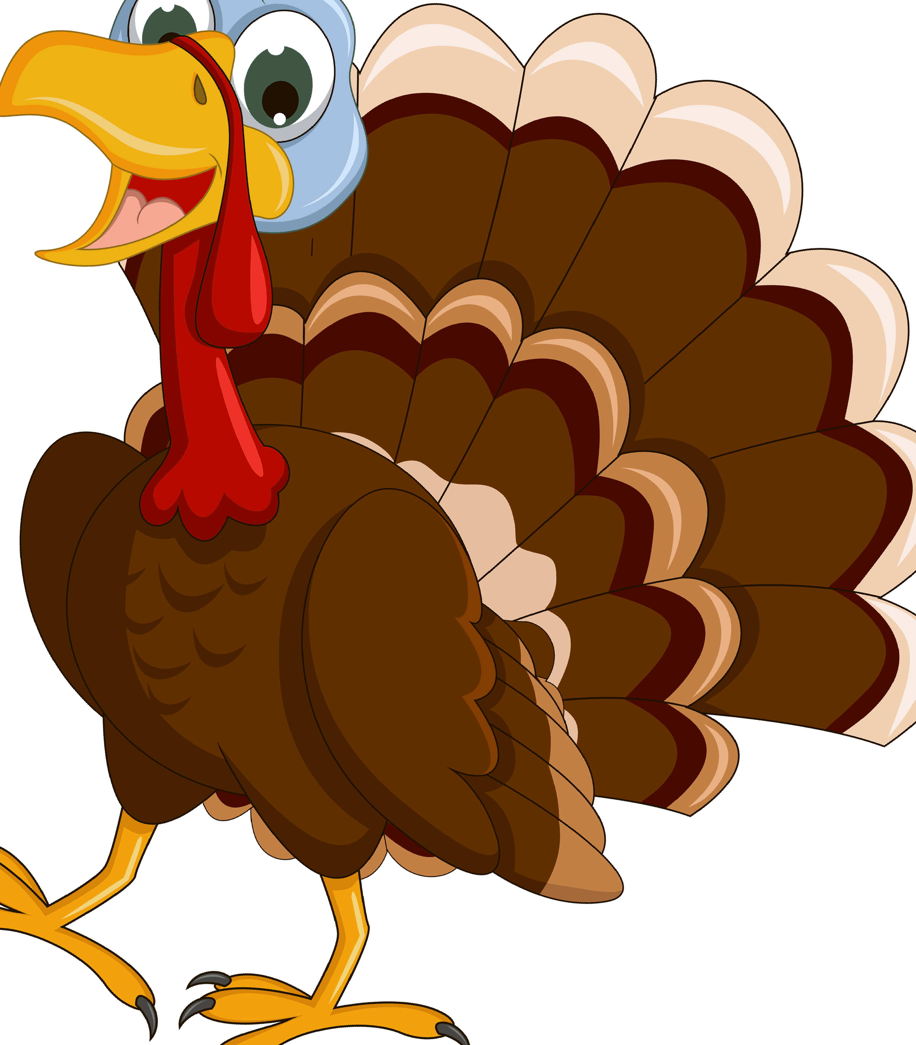 Cartoon Turkey Png Png Image Collection