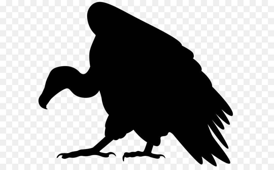 Turkey vulture Clip art - Vulture Silhouette PNG Clip Art Image png download - 8000*6874 - Free Transparent Vulture png Download.