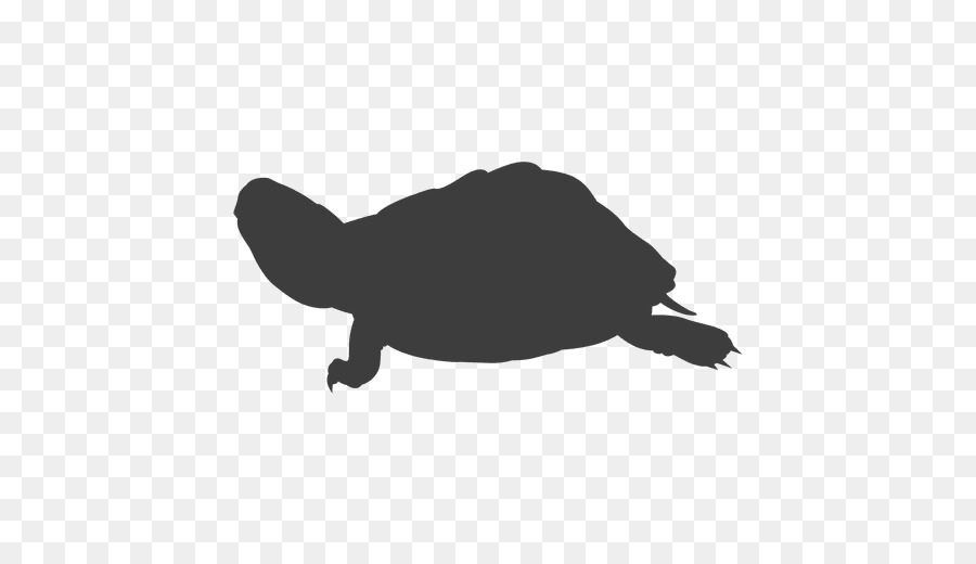 Turtle Clip art Portable Network Graphics Image Silhouette - turtle png download - 512*512 - Free Transparent Turtle png Download.
