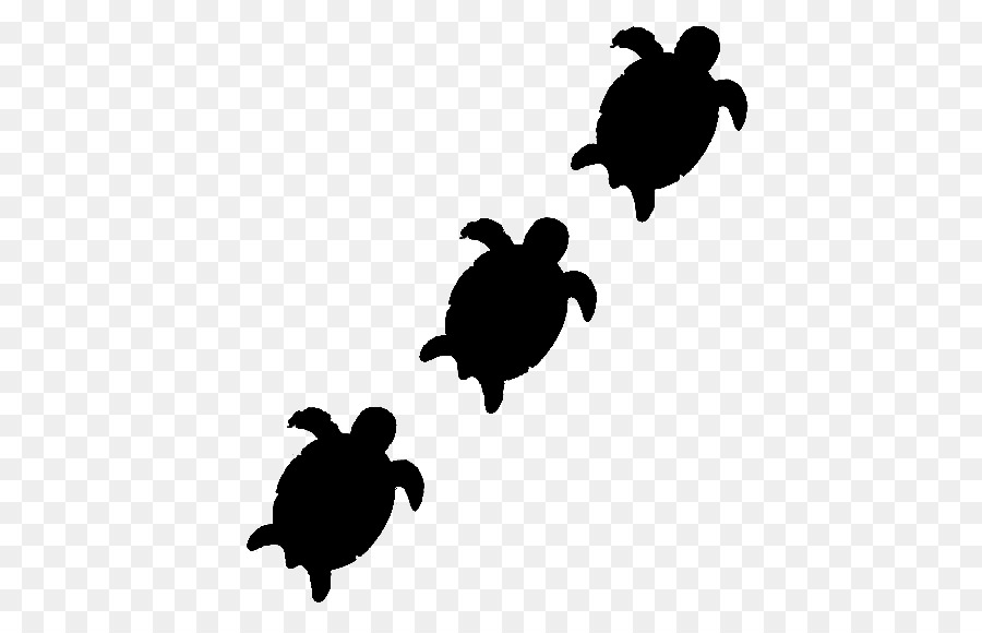 Sea turtle Clip art Black & White - M Tortoise -  png download - 500*572 - Free Transparent Sea Turtle png Download.