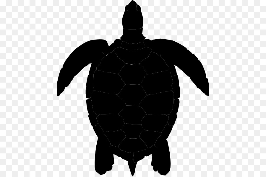 Sea turtle Silhouette Clip art - turtle png download - 516*598 - Free Transparent Turtle png Download.