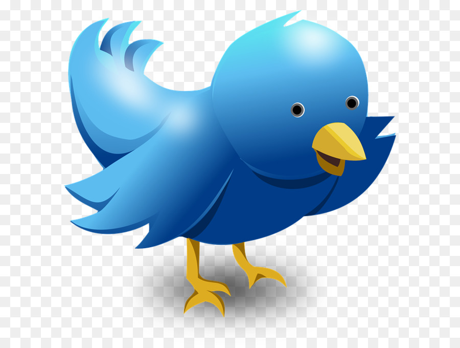 Bird Cuteness Illustration - Twitter logo PNG png download - 694*720 - Free Transparent Bird png Download.
