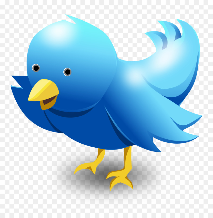 Logo - Twitter Bird Vector png download - 2056*2100 - Free Transparent Bird png Download.