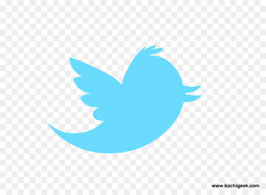 Social media Logo Information Mascot - twitter png download - 1600*1164 - Free Transparent Social Media png Download.