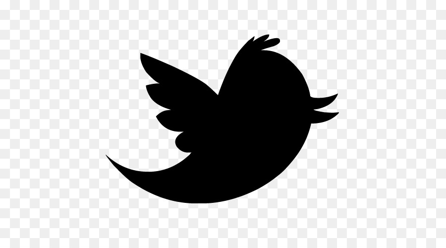Bird Logo Euclidean vector Icon - Twitter Transparent Background png download - 500*500 - Free Transparent Bird png Download.