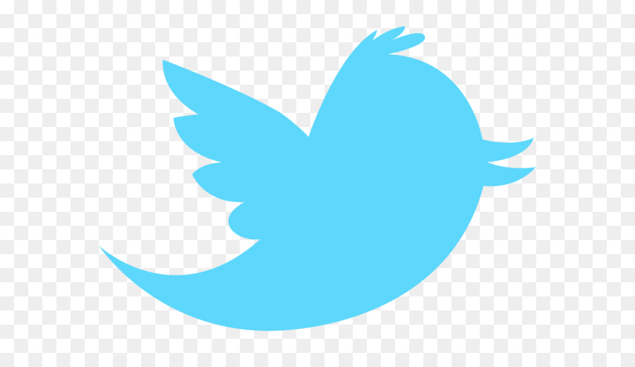 Logo Advertising Information Icon - Twitter Transparent PNG png download - 1920*1080 - Free Transparent Logo png Download.