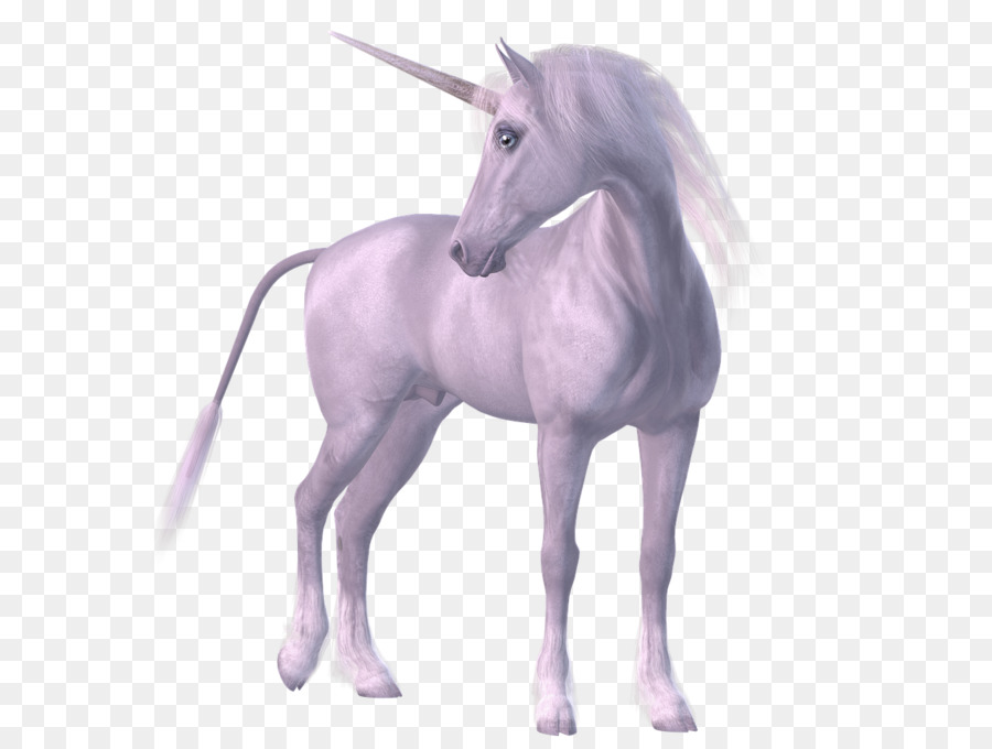 Horse Unicorn Legendary creature - unicorn horn png download - 1280*960 - Free Transparent Horse png Download.
