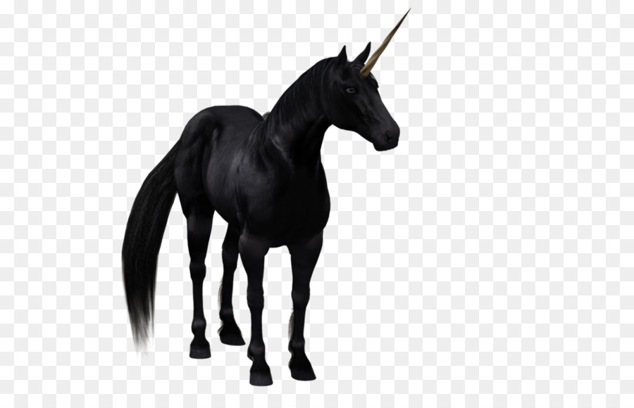 The Black Unicorn Horse - Unicorn background png download - 1024*645 - Free Transparent Black Unicorn png Download.