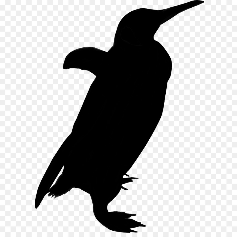 Clip art Silhouette Bird Penguin Vector graphics -  png download - 1000*1000 - Free Transparent Silhouette png Download.