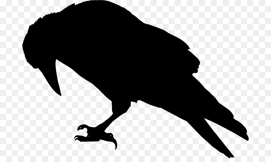 Rook Common raven Bird Crow Clip art - raven vector png download - 754*528 - Free Transparent Rook png Download.