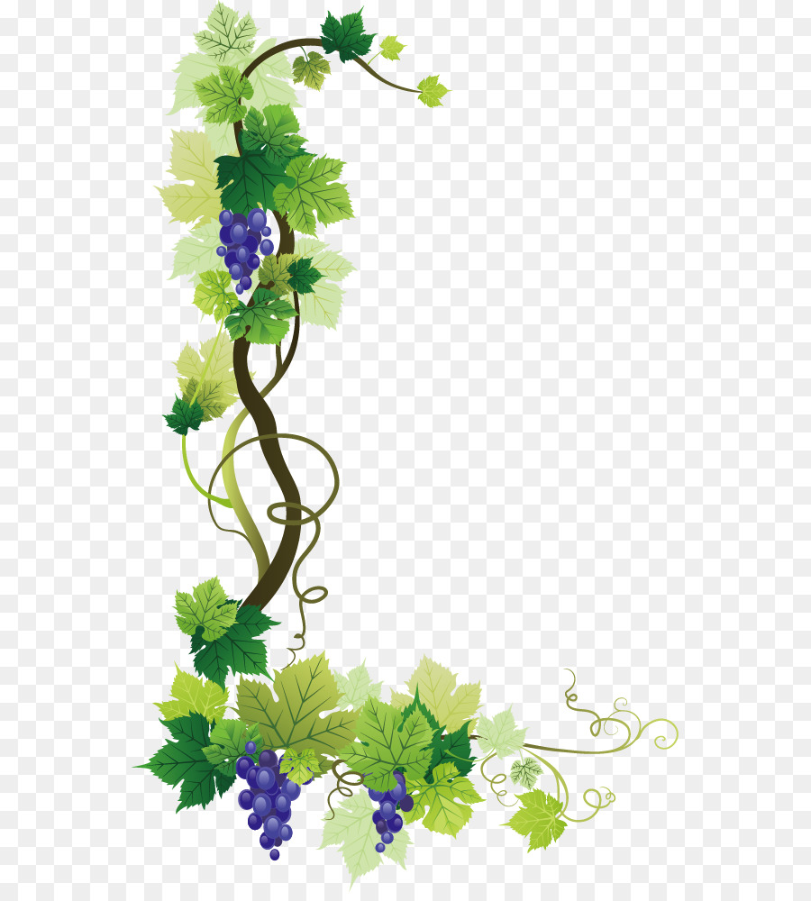 Common Grape Vine Wine Grape leaves - grape png download - 607*990 - Free Transparent Common Grape Vine png Download.