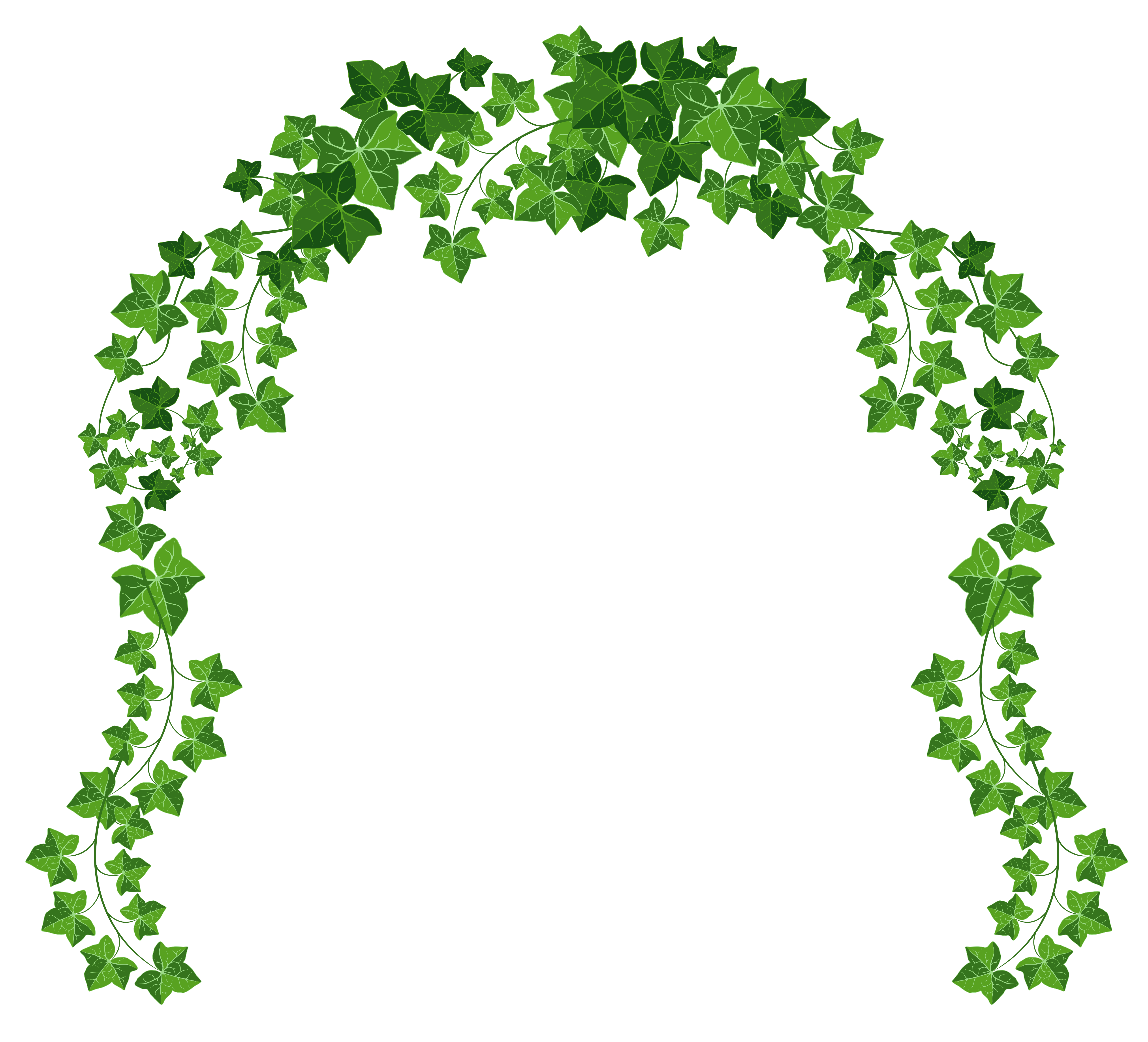 Arch Clip art - Vine Cliparts Transparent png download - 5203*4724